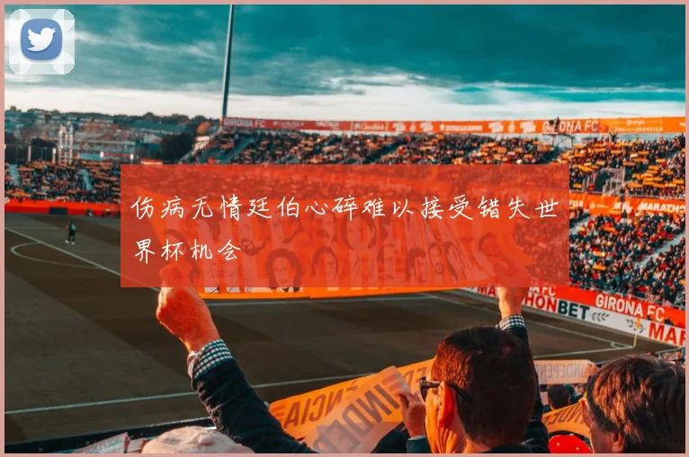 伤病无情廷伯心碎难以接受错失世界杯机会
