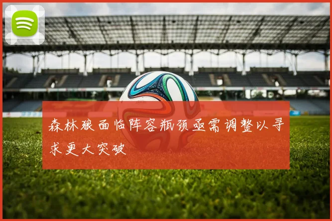 森林狼面临阵容瓶颈亟需调整以寻求更大突破