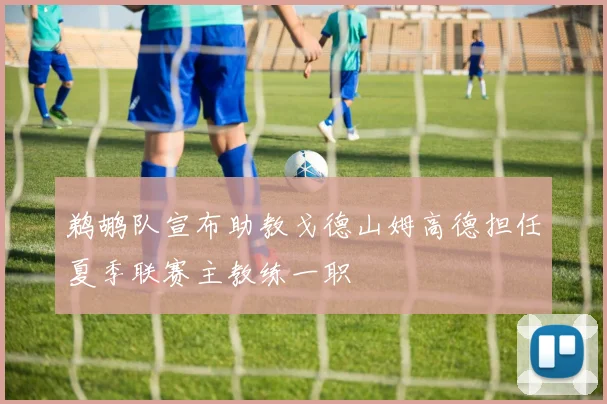 鹈鹕队宣布助教戈德山姆高德担任夏季联赛主教练一职