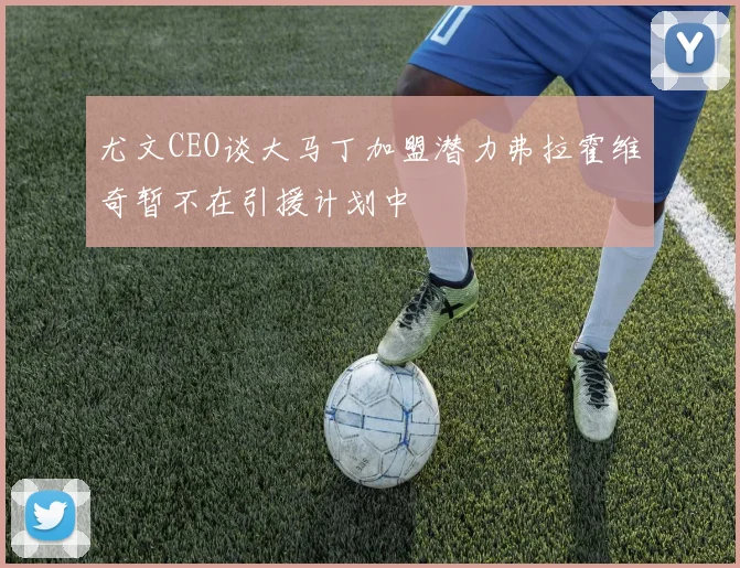 尤文CEO谈大马丁加盟潜力弗拉霍维奇暂不在引援计划中