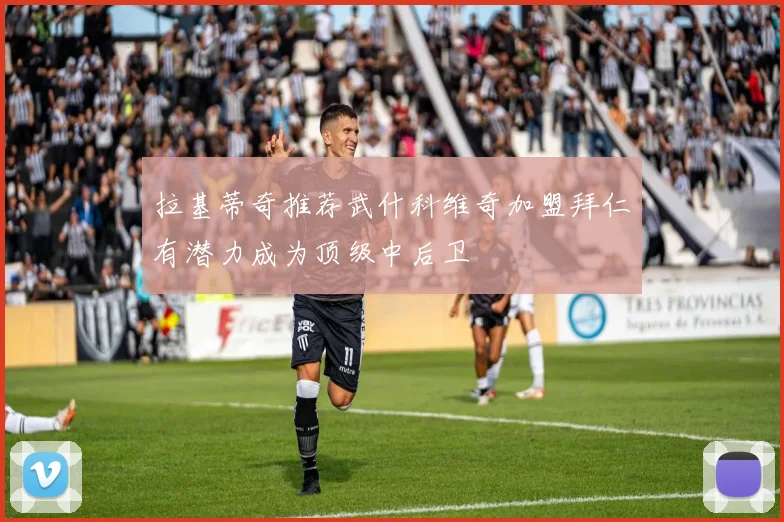 拉基蒂奇推荐武什科维奇加盟拜仁有潜力成为顶级中后卫